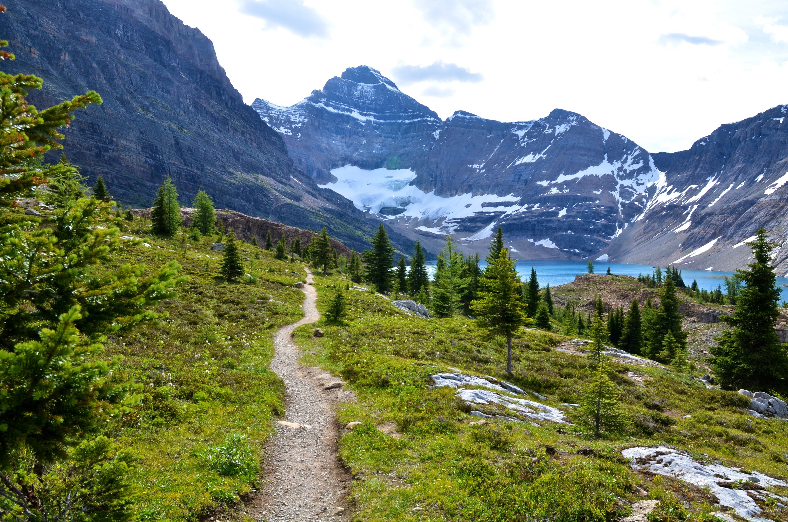 canada, Park, Mountains, Lake, Scenery, Mount, Revelstoke, Trail, Fir, Nature Wallpaper