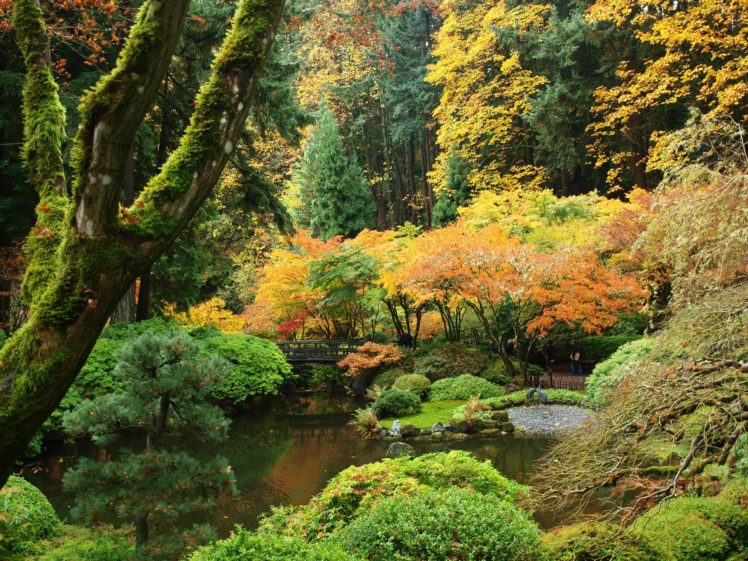 usa, Garden, Autumn, Portland, Japanese, Shrubs, Trees, Nature HD Wallpaper Desktop Background