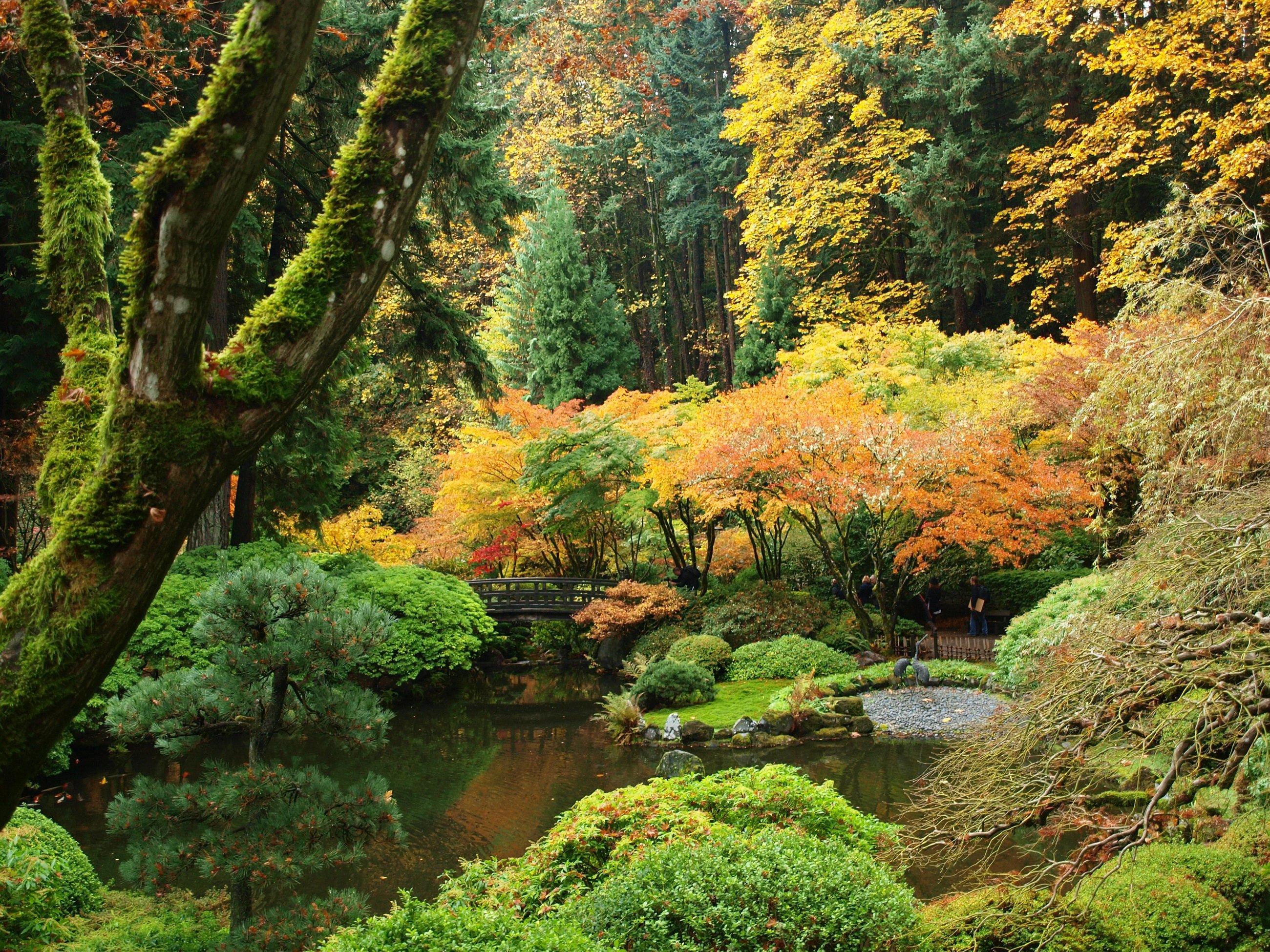 Download hd wallpapers of 453485-usa, Garden, Autumn, Portland, Japanese, S...