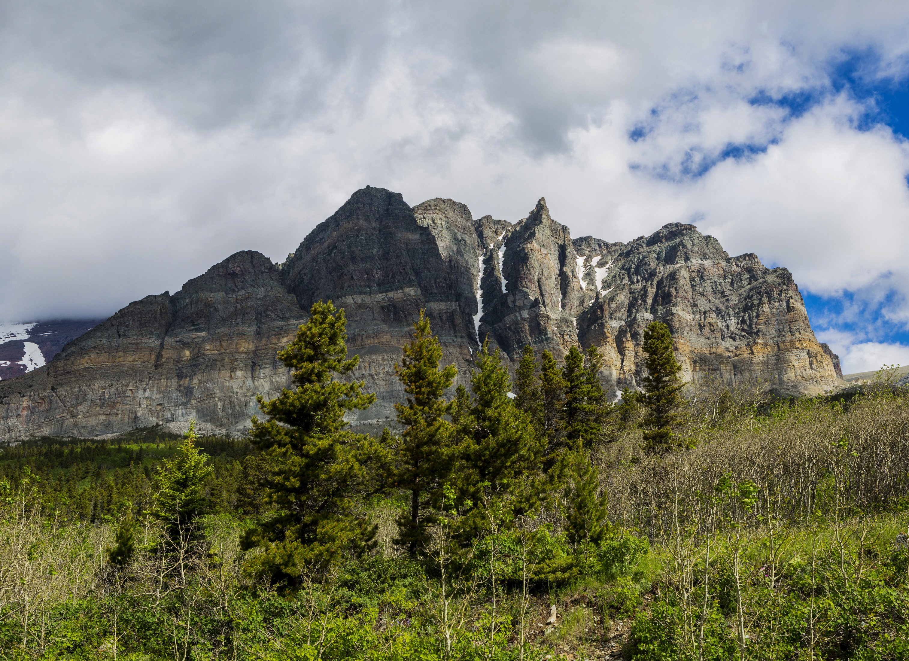 usa, Parks, Mountains, Scenery, Glacier, Fir, Nature Wallpaper