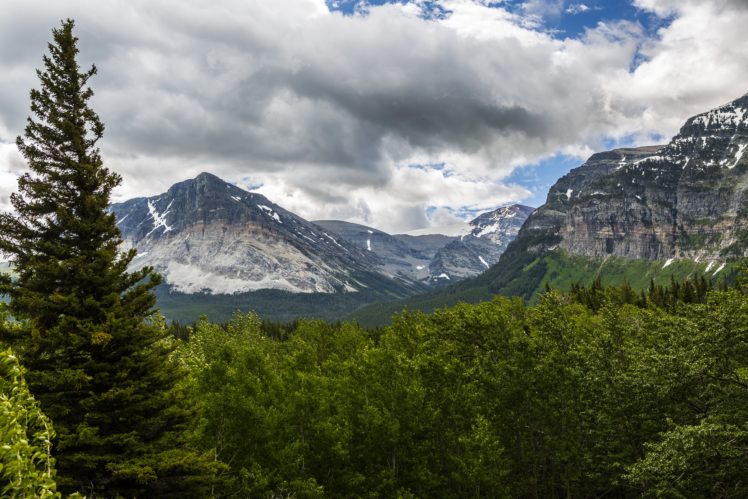 usa, Parks, Mountains, Forest, Glacier, Fir, Clouds, Nature HD Wallpaper Desktop Background