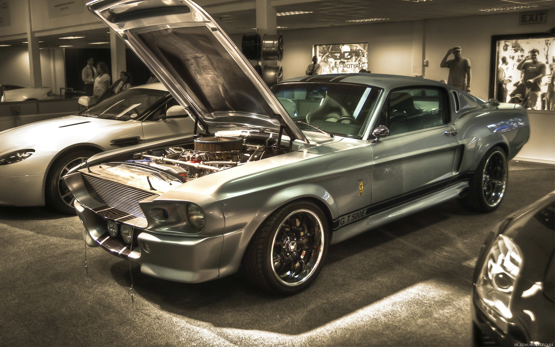 ford, Shelby, Gt, 500, Eleanor, Muscle, Cars Wallpaper