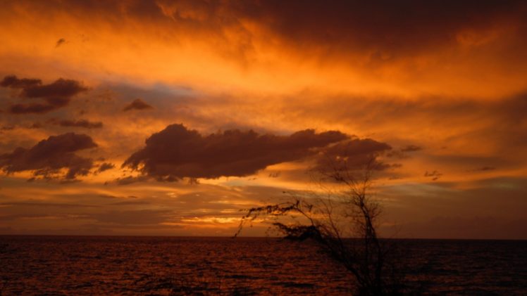 sky, Nature, Blue, Clouds, Sun, Sunset, Orange, Sunrise HD Wallpaper Desktop Background