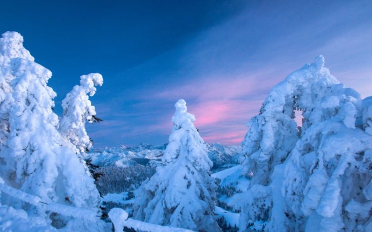 snow, Spruce, Winter, Bare, Trees, Mountains, Sky, Sunset HD Wallpaper Desktop Background