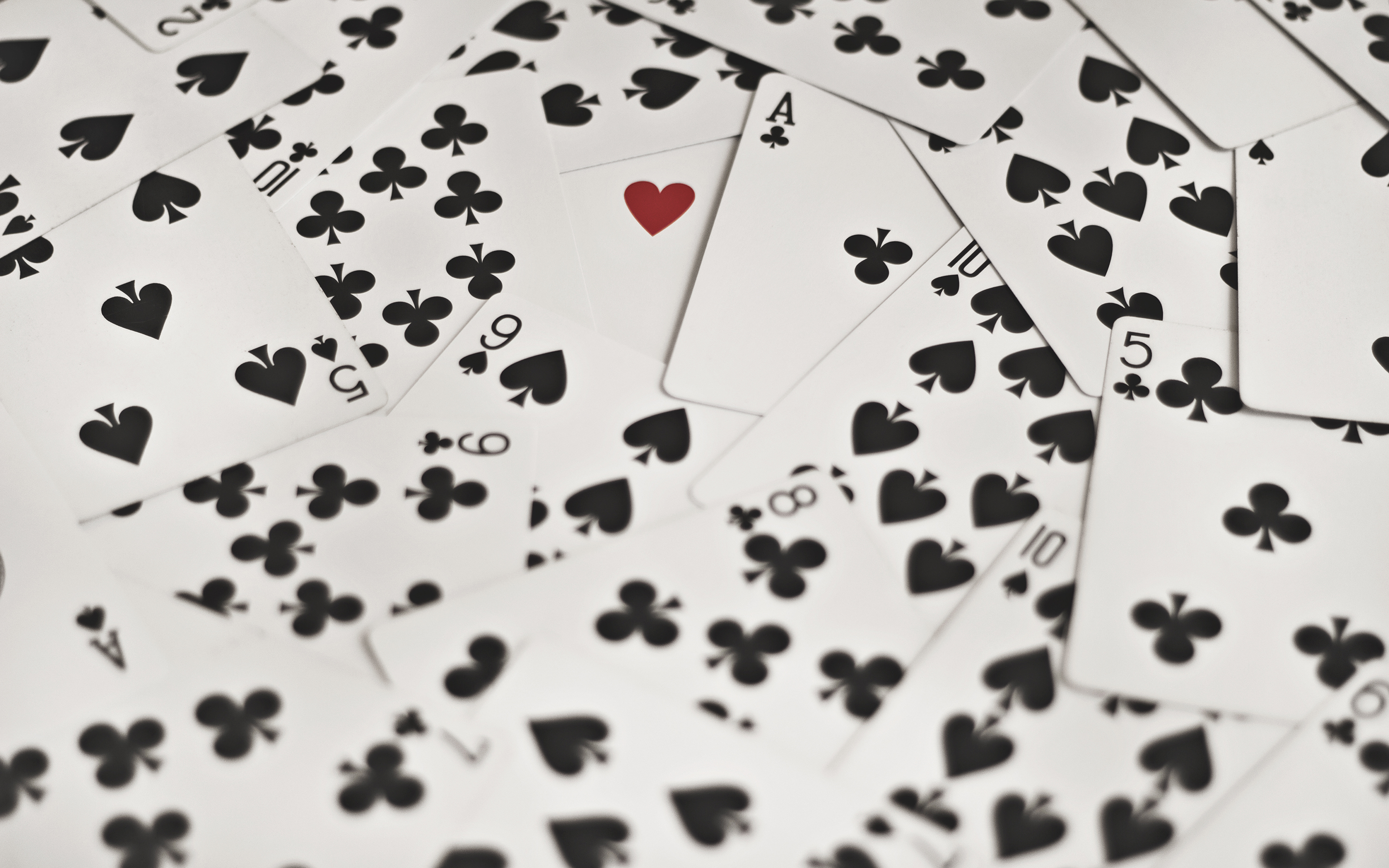 playing, Cards, Heart Wallpapers HD / Desktop and Mobile Backgrounds