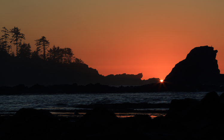 sunset, Trees, Ocean, Rocks, Stones, Beach HD Wallpaper Desktop Background