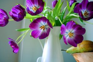 vase, Flowers, Pear, Tulip, Still, Life