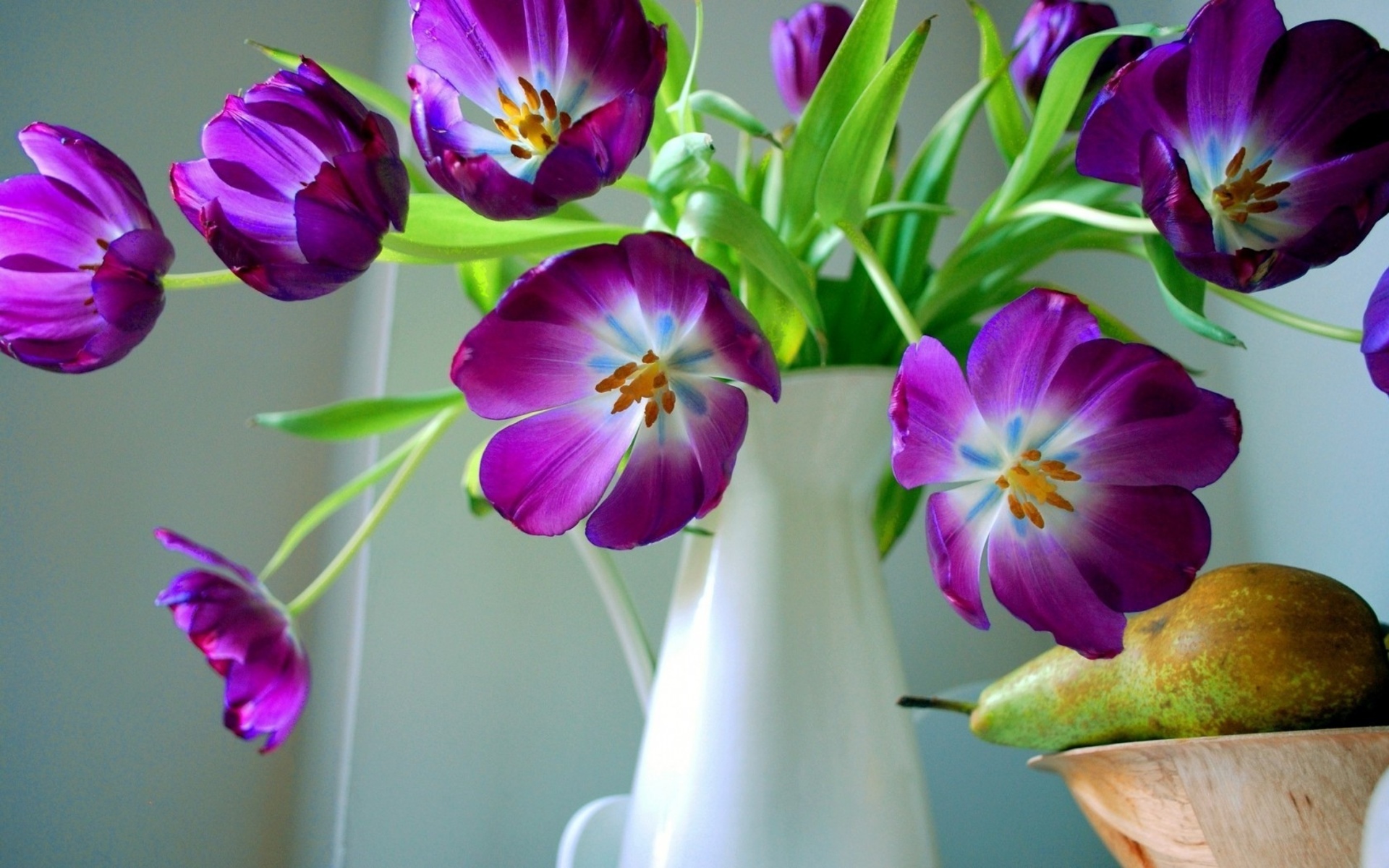 vase, Flowers, Pear, Tulip, Still, Life Wallpaper
