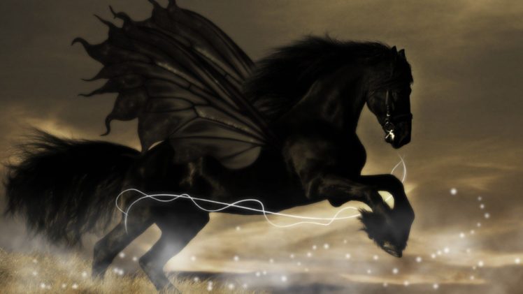 black, Horse,  , Pegasus, Art, Abstract HD Wallpaper Desktop Background