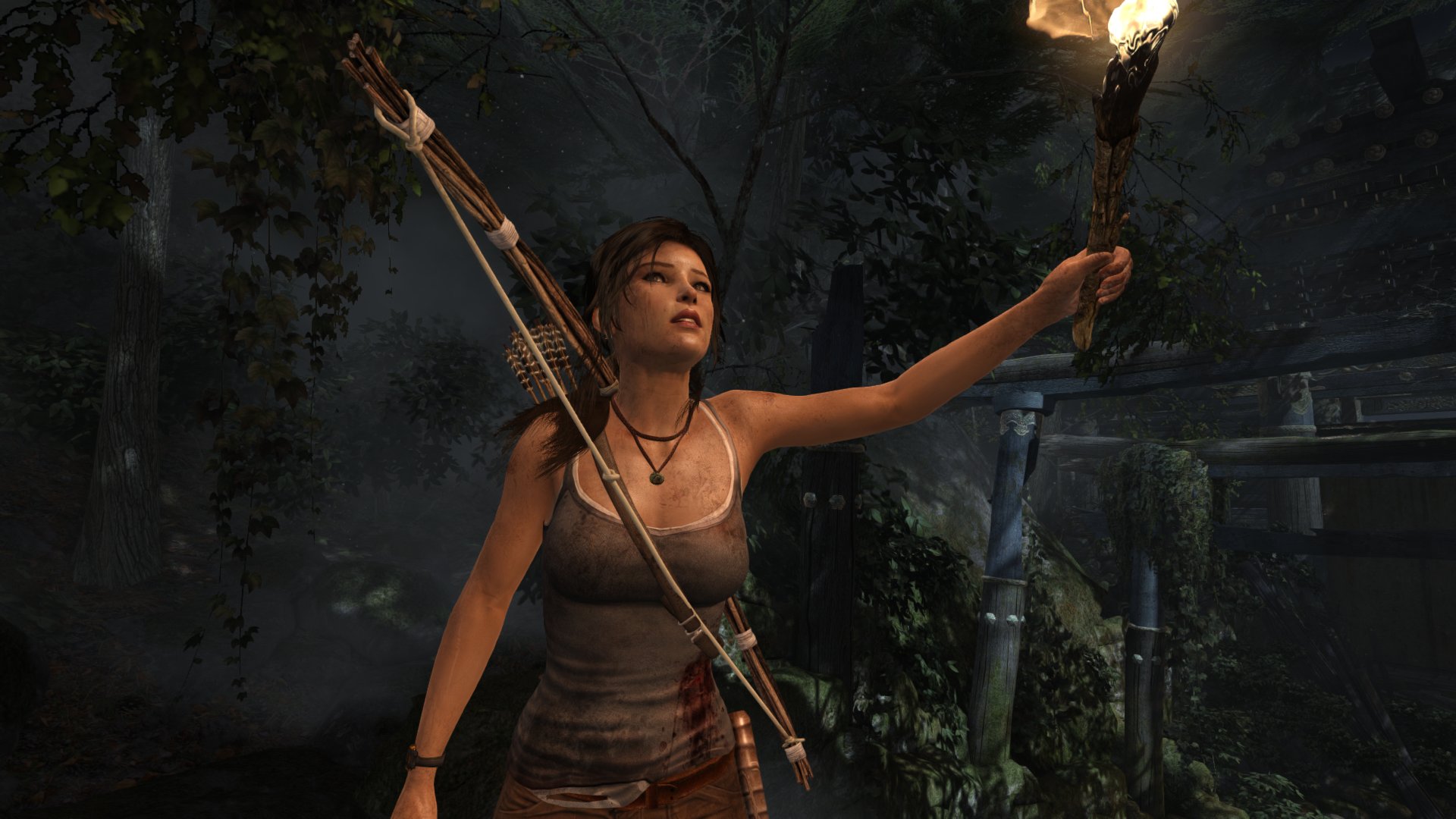 tomb, Raider, , Torch, Survivor, Forest, Game Wallpapers HD / Desktop and M...