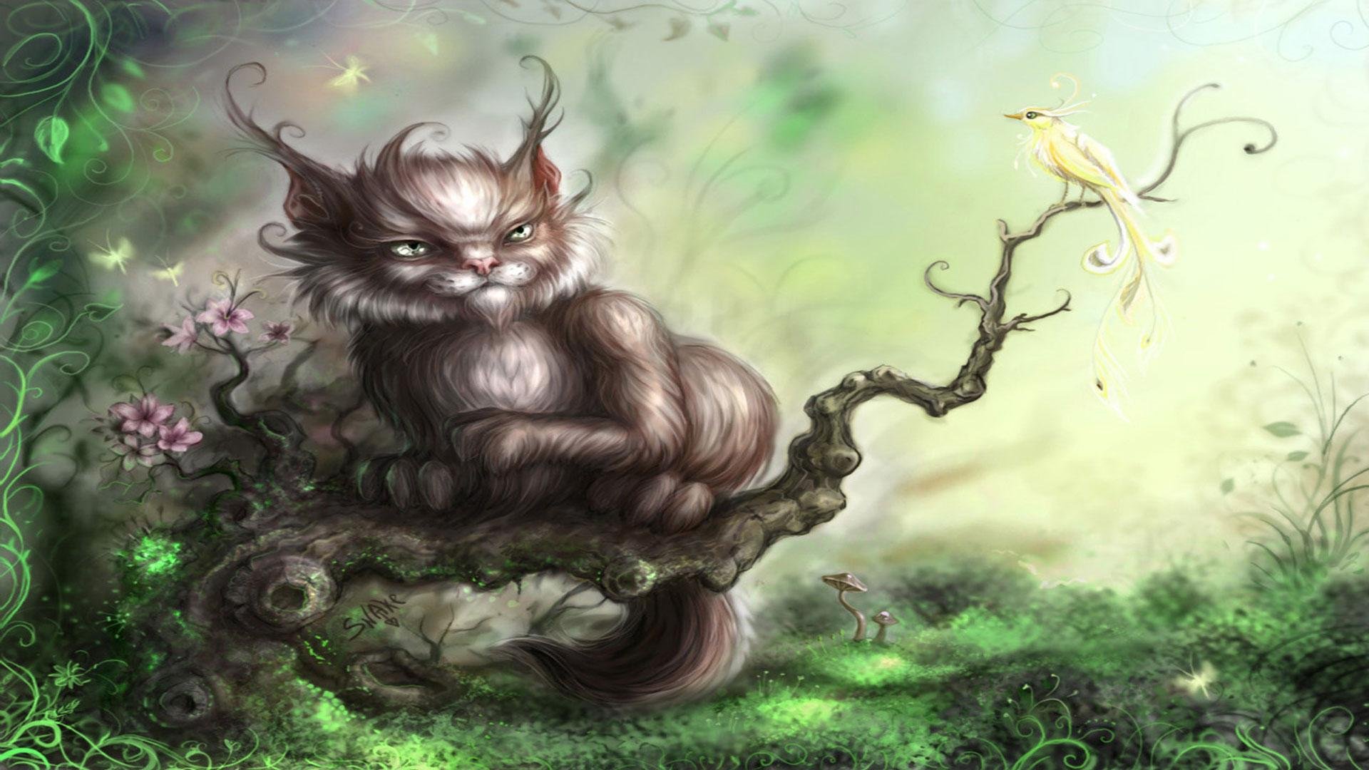cat, Animal, Pet, Cats, Kitty, Cute, Sweet Wallpaper