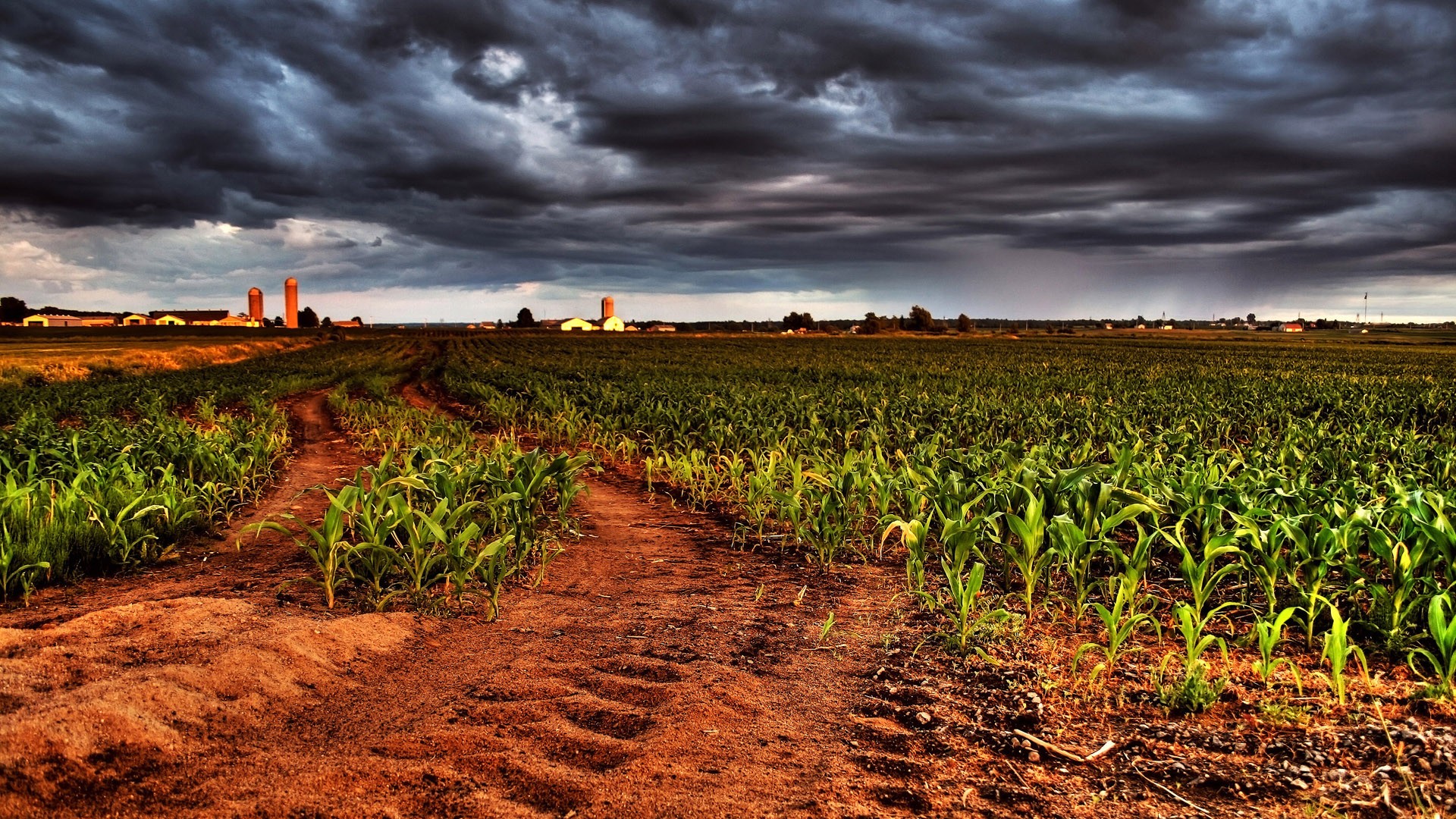 architecture, Buildings, Farm, Corn, Crops, Sky, Clouds, Sunset, Sunrise Wallpaper