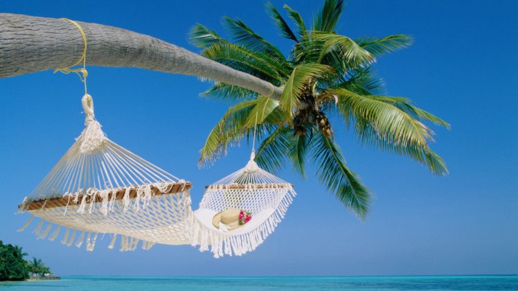 beaches, Hammock, Palm, Trees, Ocean, Sea, Tropical HD Wallpaper Desktop Background