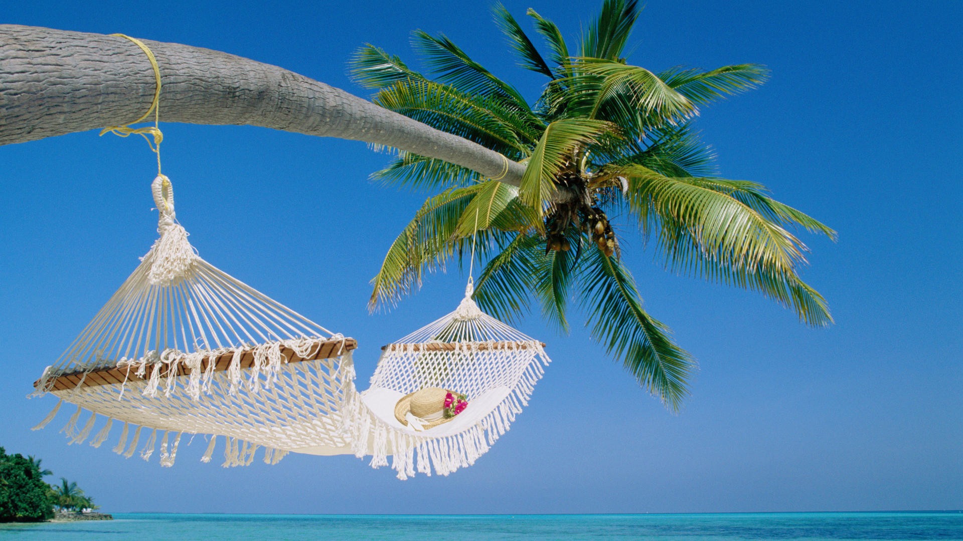 beaches, Hammock, Palm, Trees, Ocean, Sea, Tropical Wallpaper