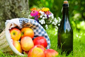 grass, Basket, Cloth, Wine, Apples, Picnic, Bouquet, Flowers, Fruit, Still, Life