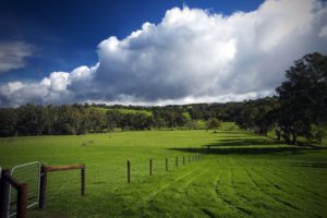 fence, Fields, Farm, Cows, Hills, Trees, Sky, Clouds