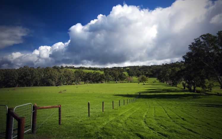 fence, Fields, Farm, Cows, Hills, Trees, Sky, Clouds HD Wallpaper Desktop Background