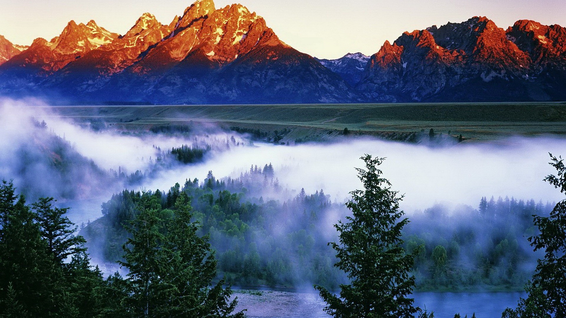 fog, Mountains, Trees, Forest Wallpaper