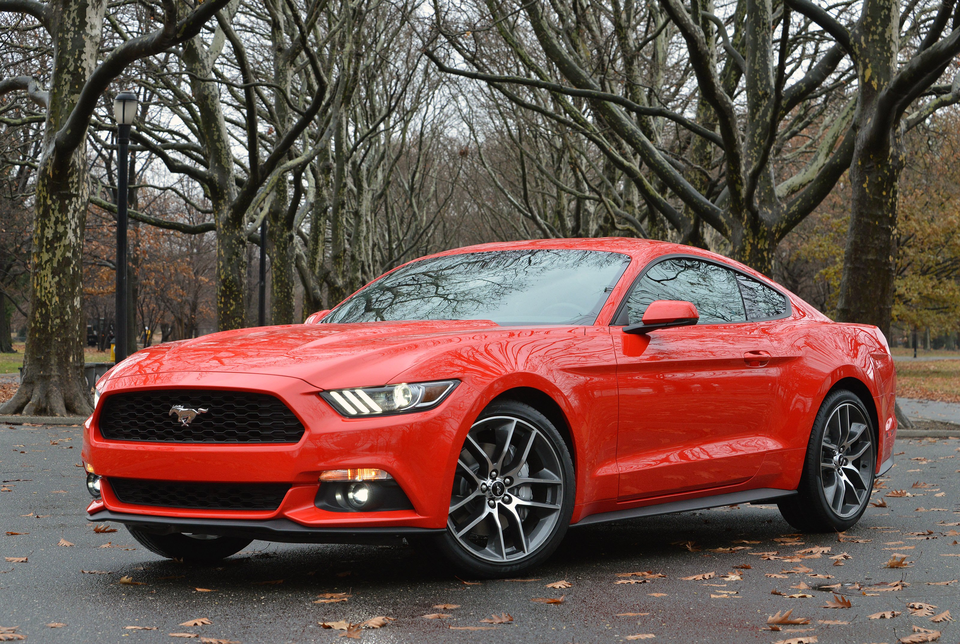 2015, Ford, Mustang, Ecoboost, Coupe, Muscle Wallpaper