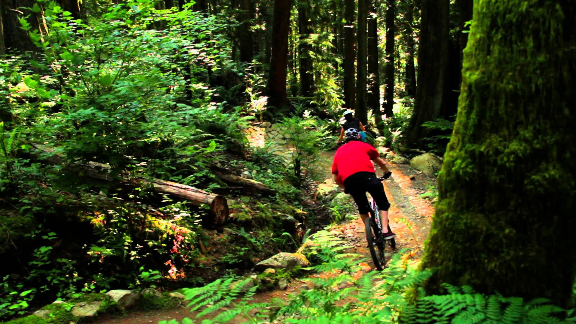 norco, Bicycle, Bike Wallpaper