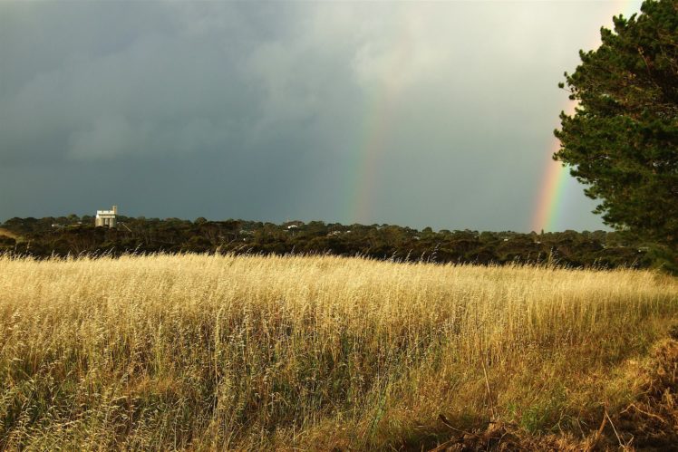 rain, Rainbow, Sky, Nature, Colors, Landscapes HD Wallpaper Desktop Background