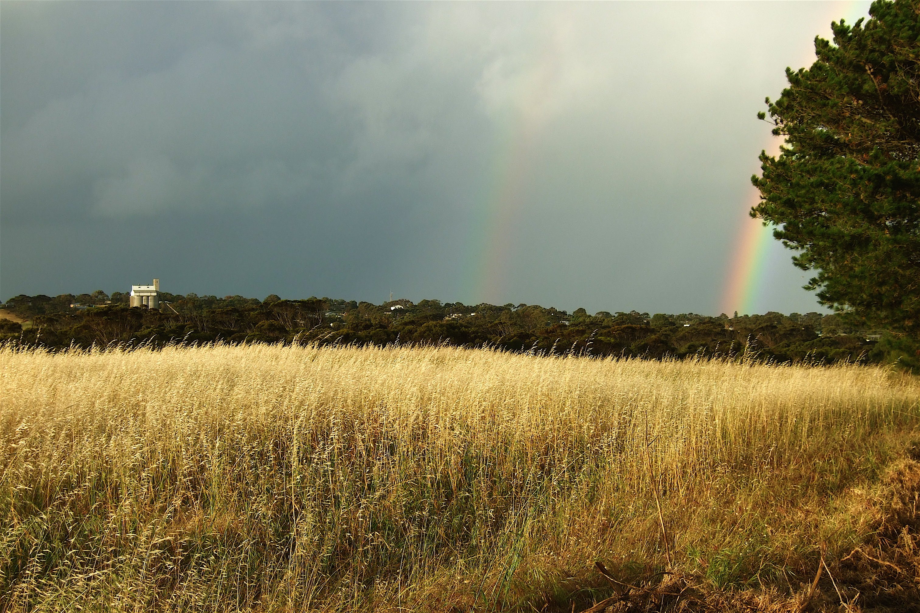 rain, Rainbow, Sky, Nature, Colors, Landscapes Wallpaper