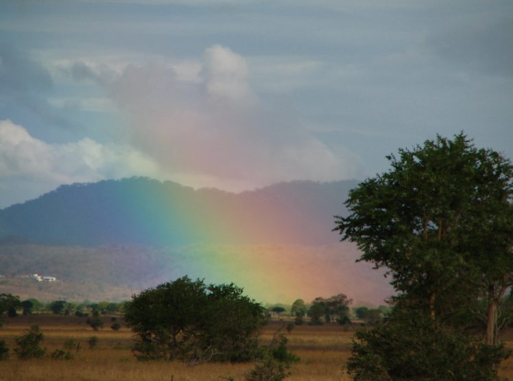 rain, Rainbow, Sky, Nature, Colors, Landscapes HD Wallpaper Desktop Background