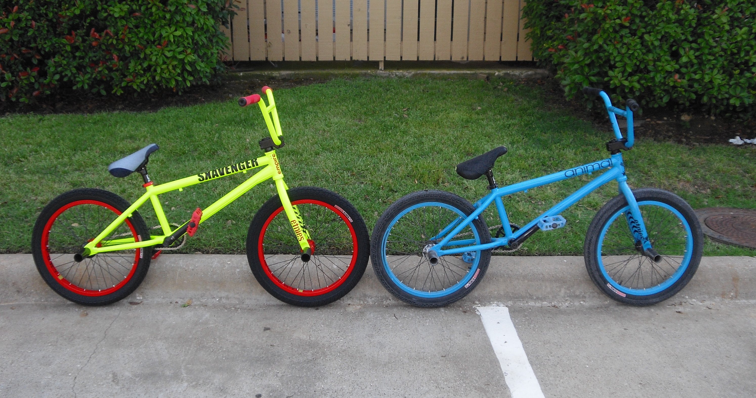 sunday, Bmx, Bike, Bicycle Wallpapers HD / Desktop and Mobile Backgrounds