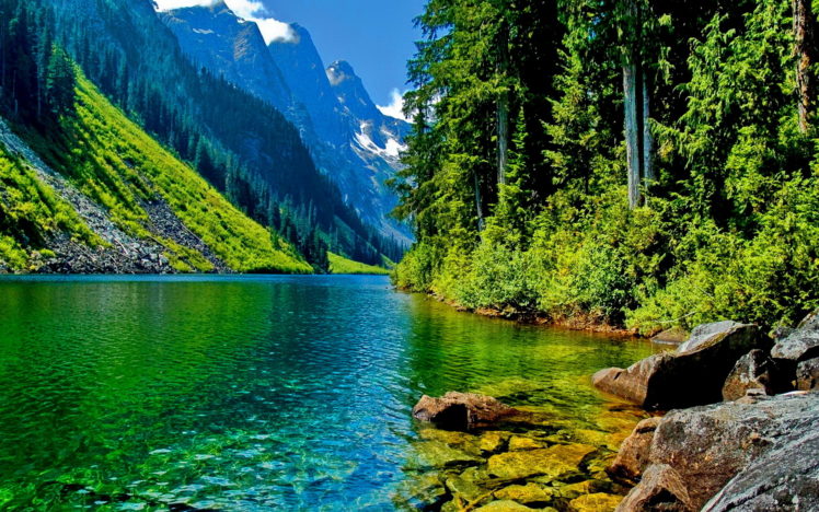 river, Trees, Forest, Mountains HD Wallpaper Desktop Background