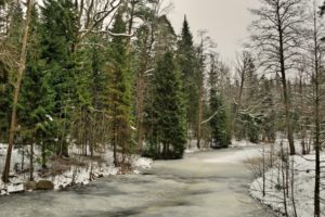 river, Winter, Landscape, Forest, Trees