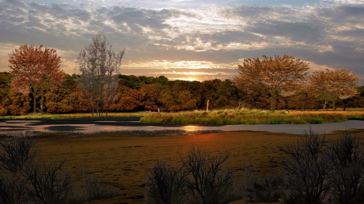 rivers, Lakes, Water, Trees, Marsh, Beaches, Sky, Clouds, Sunset, Sunrise HD Wallpaper Desktop Background