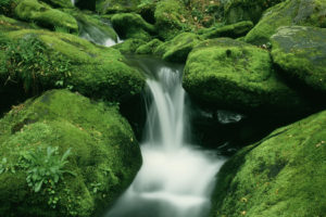 waterfall, Moss, Rocks