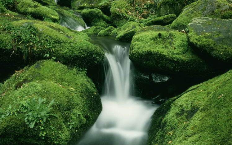 waterfall, Moss, Rocks HD Wallpaper Desktop Background