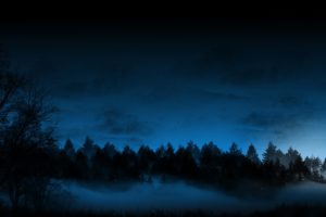 trees, Forest, Night, Fog, Mist, Blue, Cg, Sky