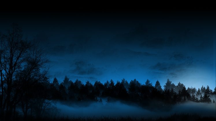 trees, Forest, Night, Fog, Mist, Blue, Cg, Sky HD Wallpaper Desktop Background