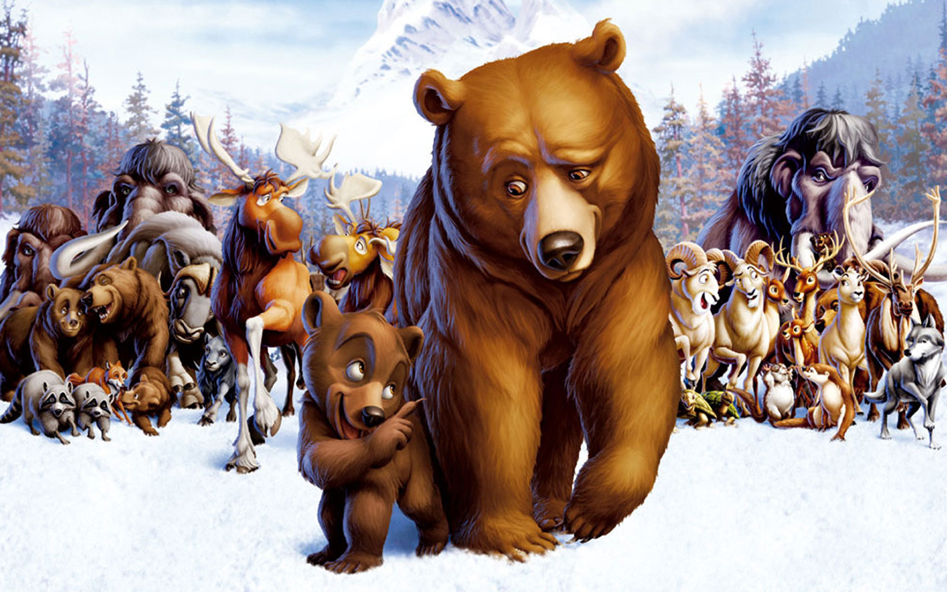 brother, Bear, Cartoon, Animals Wallpaper