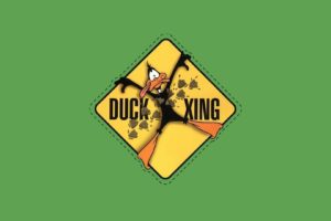 daffy, Duck