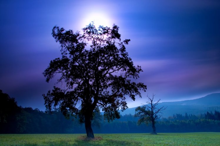 field, Night, Tree, Moon, Sky, Mountains HD Wallpaper Desktop Background