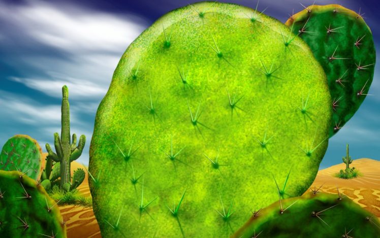 cactus HD Wallpaper Desktop Background