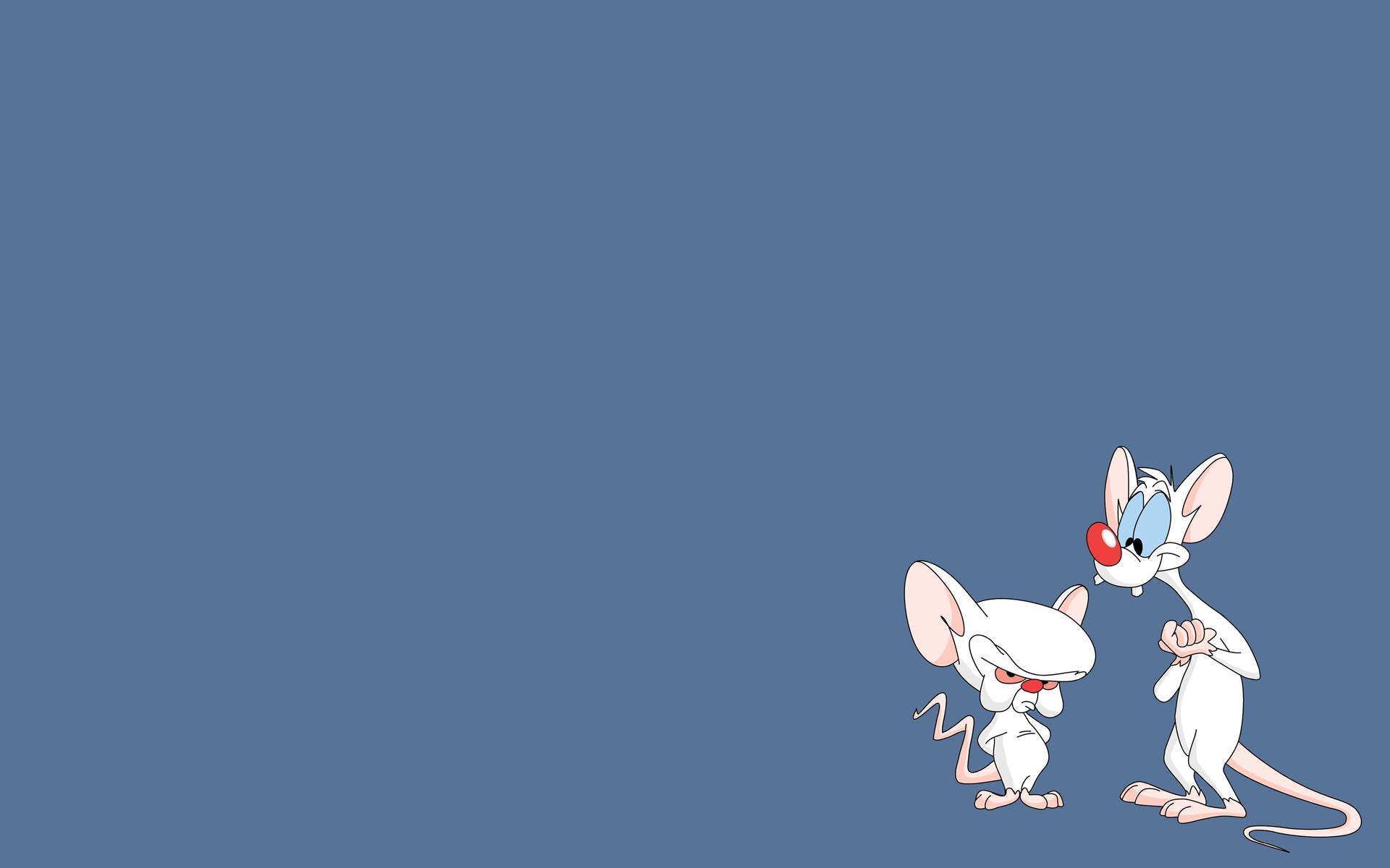 pinky, And, The, Brain Wallpaper