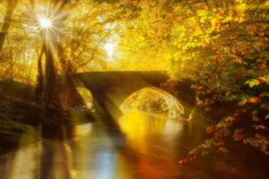 leaves, The, Park, The, Alley, Trees, Forest, Autumn, Walk, Hdr, Nature, River, Water, View, Fall, Bridge, Reflection, Leaves, Trees, Forest, Autumn, Walk, Nature, River, Water, View, Avenue, Park, Bridge