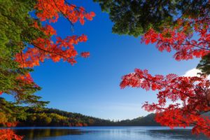 autumn, Fall, Lake