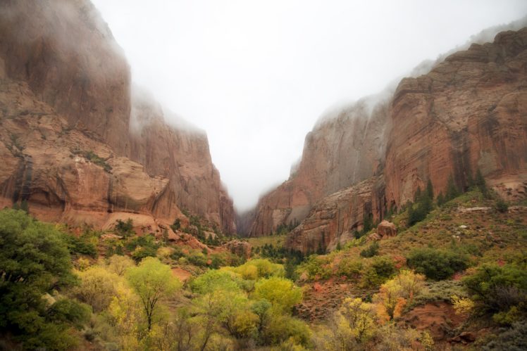 mountains, Trees, Landscape, Utah, United, States, Zion, National, Park, Utah, Desert HD Wallpaper Desktop Background