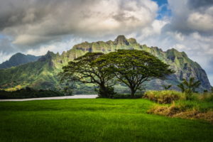 scenery, Mountains, Oahu, Hawaii, Grass, Clouds, Nature