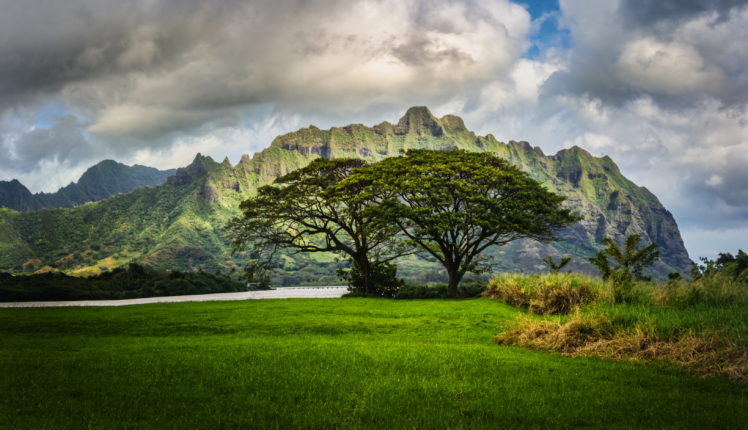scenery, Mountains, Oahu, Hawaii, Grass, Clouds, Nature HD Wallpaper Desktop Background
