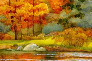 autumn, Trees, Nature, Landscape, Leaf, Leaves