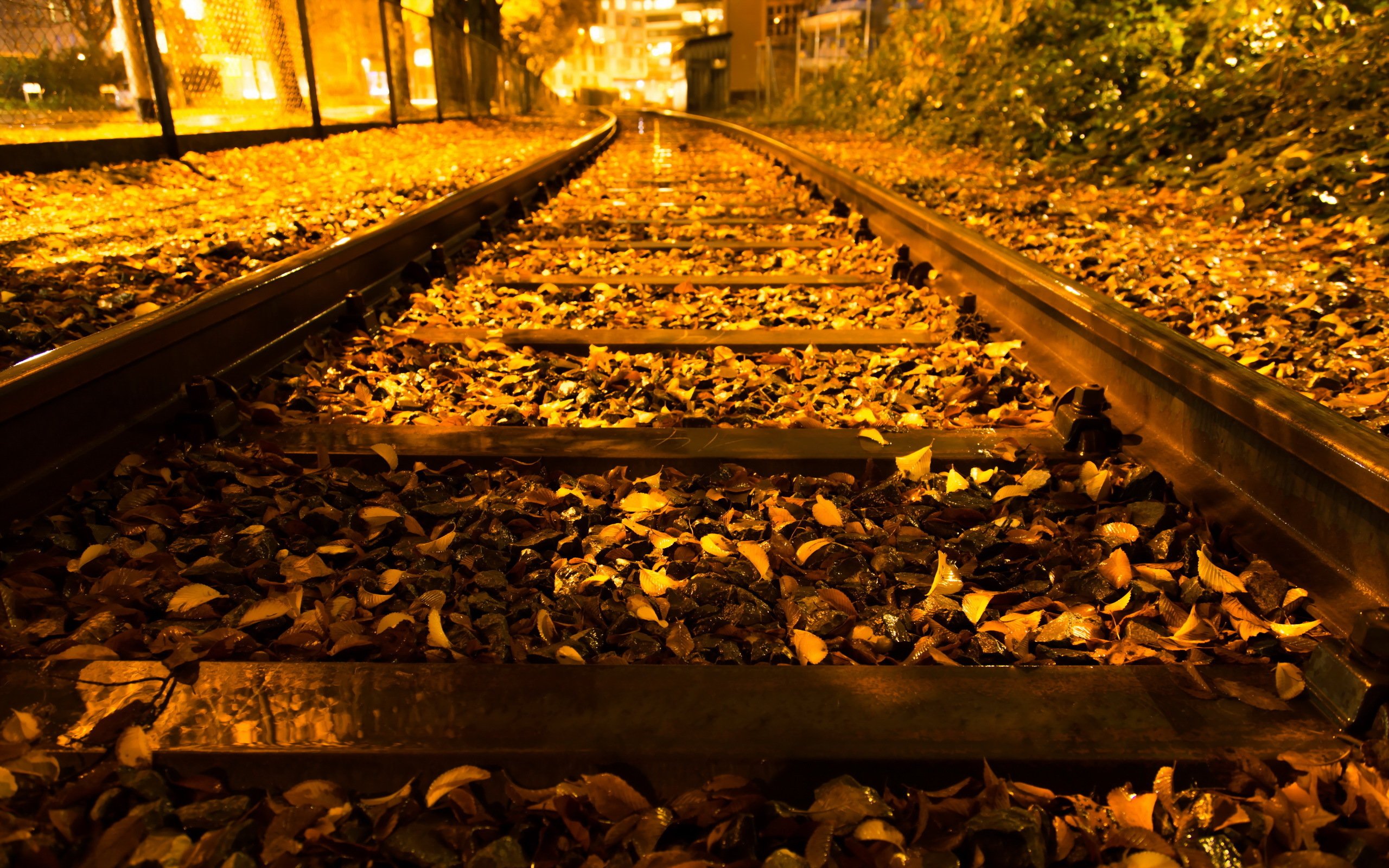 autumn, Trees, Nature, Landscape, Leaf, Leaves, Railroad, Train, Tracks Wallpaper
