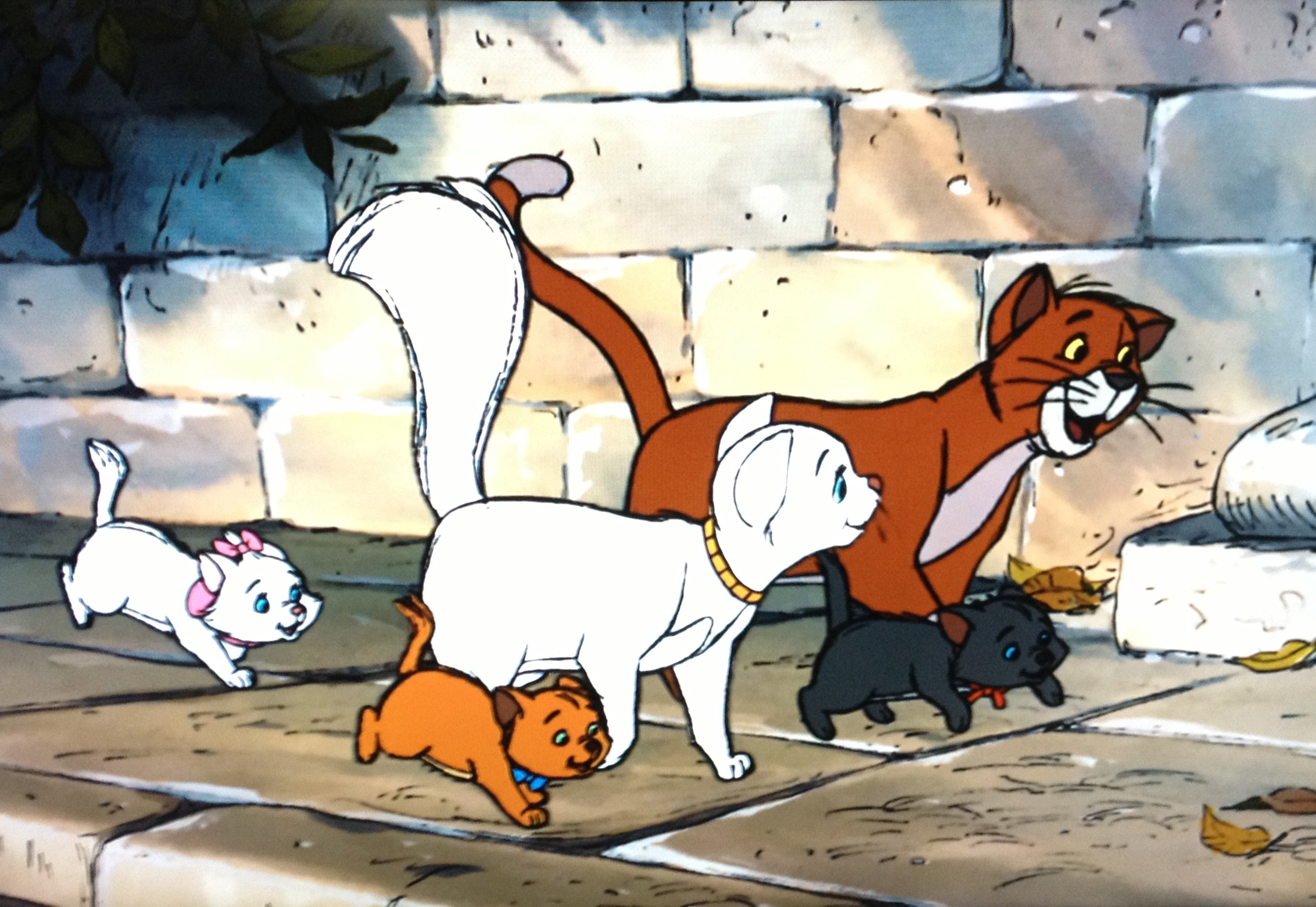 the, Aristocats, Animation, Cartoon, Cat, Cats, Family, Disney, Kitten  Wallpapers HD / Desktop and Mobile Backgrounds