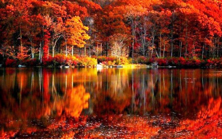 fall, Foliage, River, Autumn, Red, Lake, Reflections, Shore, Beautiful, Serenity, Trees, Calmness HD Wallpaper Desktop Background