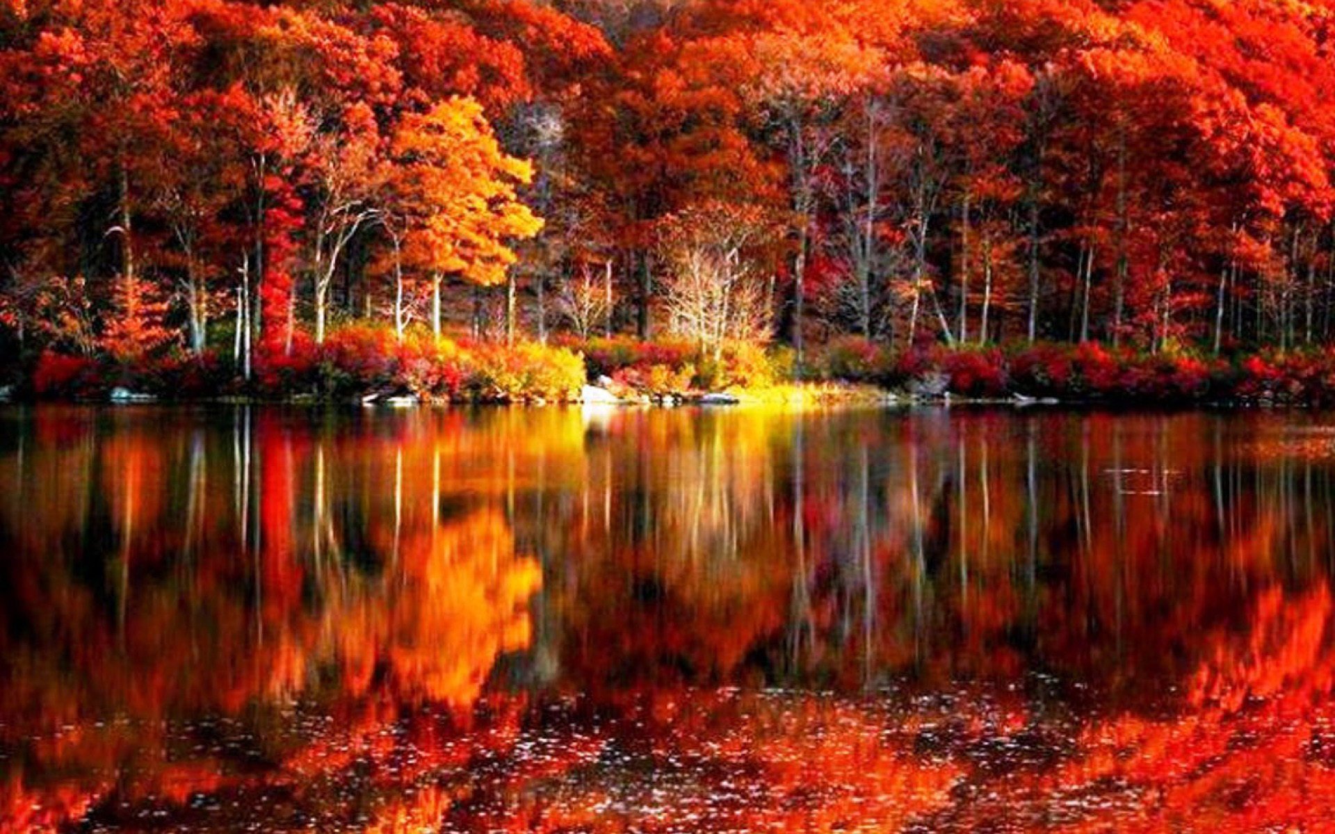 fall, Foliage, River, Autumn, Red, Lake, Reflections, Shore, Beautiful